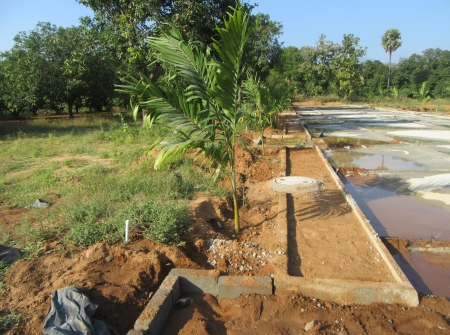 5) Li Id : 188 - Pic 6.JPG